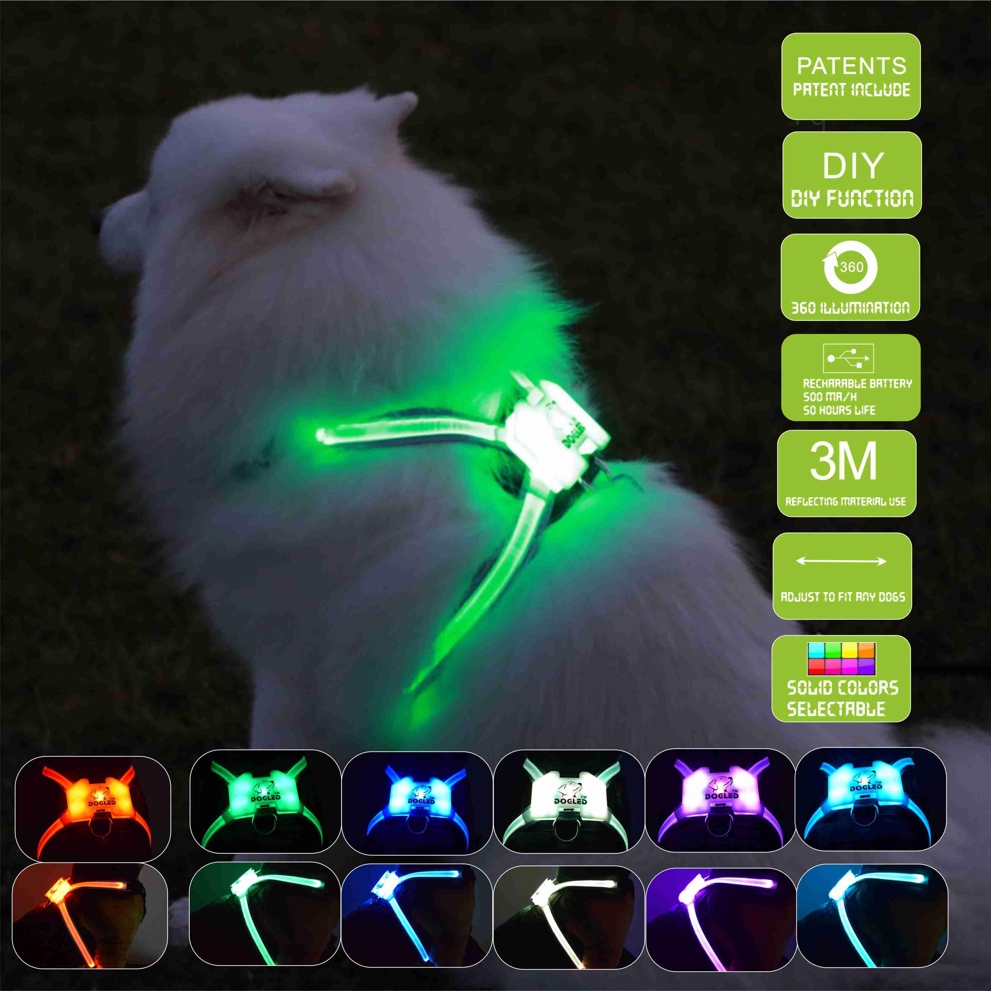 Usb Rechargeable Led Pet Collar - Illuminate Your Dog's Style!