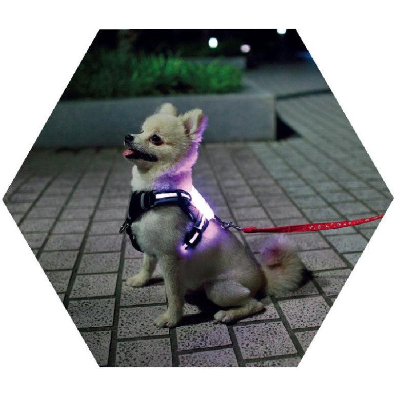 Usb Rechargeable Led Pet Collar - Illuminate Your Dog's Style!